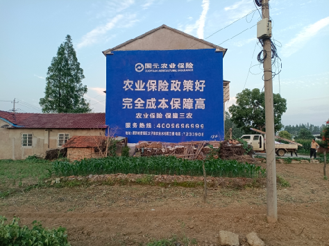 仪征墙体广告的优劣势你知道吗？