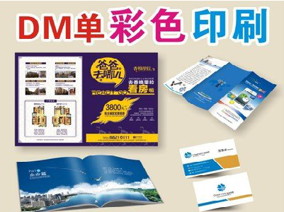 仪征单页印刷，色彩搭配简单。